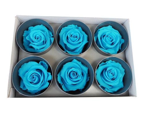6 Rose Stabilizzate