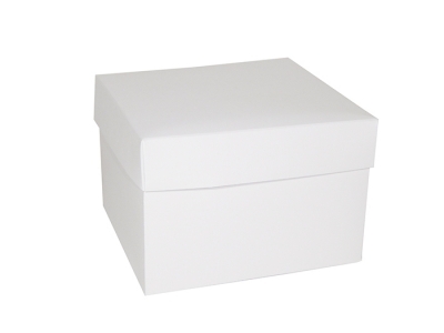 Scatola Pieghevole New 16x16x11 Pz 10