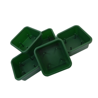 30 Ciotola Mini Quadrifoglio Verde Con Punte Per Spugna