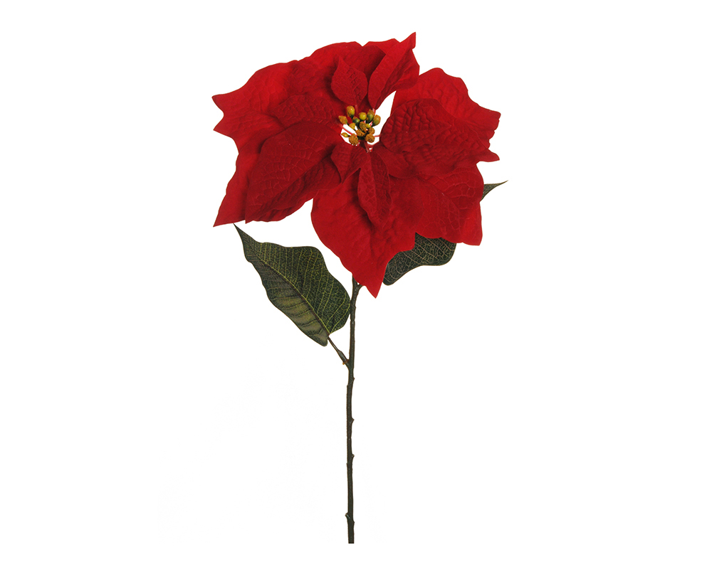 Stella Natale Singola Rossa