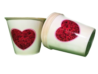 Coprivaso Cuore Rose D.17 Pz 20