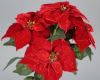 Busch Stelle Natale Velluto 5 Fiori Decorazioni Festivita