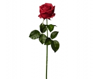Rosa Bocciolo Grande Real Touch Cm 66 Decorazioni Composizione Floreale