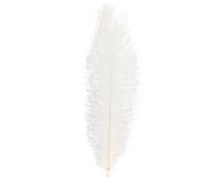 Piuma Marabou Cm 60 Pz 1