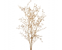 Ramo Cotoneaster Oro Cm 145 Decorazioni Addobbi Natale