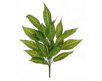 Mazzo Dieffenbachia Cm 75 Decorazioni Composizione Floreale Matrimonio
