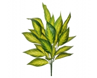 Mazzo Dieffenbachia Cm 75 Decorazioni Composizione Floreale Matrimonio