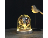 Campana Cilindro Led D. 10 H. 15,5 Decorazione Casa Ufficio Vetrina