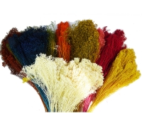 Broom Bloom Fiori Secchi Da 100 Gr Composizioni Addobbi Floreali