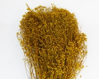 Broom Bloom Fiori Secchi Da 100 Gr Composizioni Addobbi Floreali