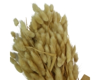 Topina Laugurus Naturale Stabilizzata Gr 100