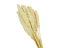 Sorgo Bianco Naturale Stabilizzato Composizione Floreale Matrimonio