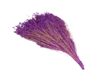 Broom Bloom Fiori Secchi Da 100 Gr Composizioni Addobbi Floreali