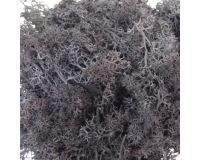 Gr 500 Muschio Nordico Sacco Pianta Naturale Colorata Nera