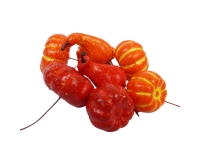Pick Zucca Assortiti Pz 24 Decorazione Segnaposto Halloween