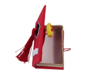 Libro Laurea Nappina Pz 6 Bomboniere Fai Da Te Applicazione