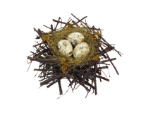 Nido con Uova Decorazione Primavera Pasqua Addobbi