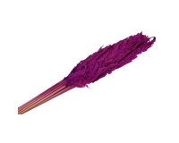 Eryanthus Colorato Secchi Pz 10 Decorazione Composizione Floreale Addobbi