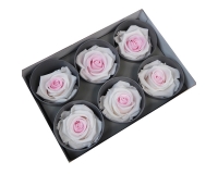 6 Rose Stabilizzate