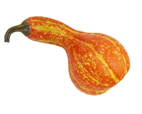 Zucca Lunga 36x14 H 14 Frutta Artificiale Decorazione Composizione