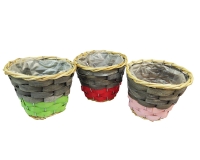 Cesto D 16 Tre Colori S/3 Composizione Floreale Addobbi  Fioristi