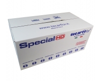 Spugna Idro Special 20 Mattonelle Decorazione Composizione Floreale Fiortisti