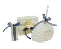 Bomboniera Matrimonio Linea Mare Scatola Conchiglia Nautilus Diffusore Led