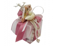Bomboniere Matrimonio Linea Mare Scatolina Plexy Conchiglie