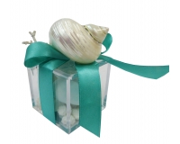 Bomboniere Matrimonio Linea Mare Scatolina Conchiglia Maxi