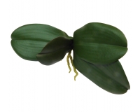 Foglie Orchidea Real Touch Piccole