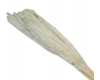 Mini Pamaps Gr 100 Naturale Colorata Stabilizzata Composizione Floreale Addobbi