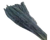 Mini Pamaps Gr 100 Naturale Colorata Stabilizzata Composizione Floreale Addobbi