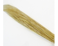 Stipa Pennata Gr 100 Naturale Stabilizzata Colorata Composizione Floreale Addobbi