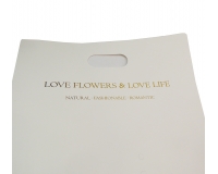 Bag Colorata Mazzo 40x60 Pz 10 Decorazione Composizione Floreale Festa Mamma Innamorati