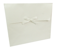 Gift Bag 16x8x14 Pz 10 Decorazioni Incartamenti