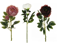 Peonia C/bocciolo New