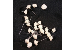 24 Spilloni Fiore