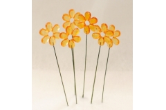 6 Fiori Arancio Su Stick