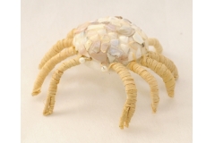 Granchio Decorato Con Conchiglie Madreperlate