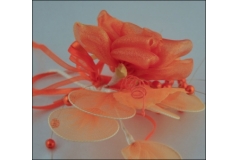 Segnaposto Organza