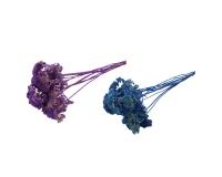 Achillea Stabilizzata Pz 10 Colorata Composizione Floreale