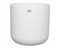Vaso Zahra D 27 H 26 Cotto Bianco Composizione Floreale