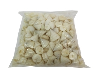 Conchiglie Echinellopsis Gr 500