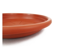 Sottovaso Botanico D. 30