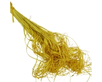 Curly Ting Ting Gr 200 Colorato Fiori Secchi Decorativi Matrimonio Nozze