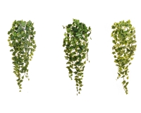 Cadente Edera Real Touch Piccolo Addobbi Composizione Floreale