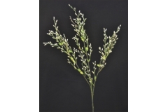 Pussy Willow Mini Modellabile 75 Cm