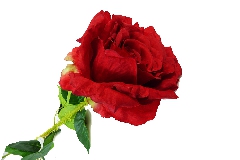 Rosa Rossa Grande C/spine Cm 78 Fiore Artificiale Da Composizione