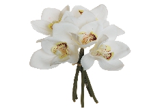 Pick X5 Phalenopsis Real Touch H.25 Cm Fiore Artificiale Composizione Arredo