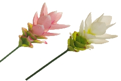 Curcuma Real Touch Fiore Artificiale Cm 66